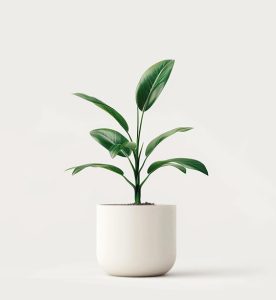 Startseite product 04