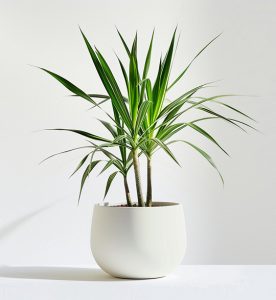 Startseite product 05